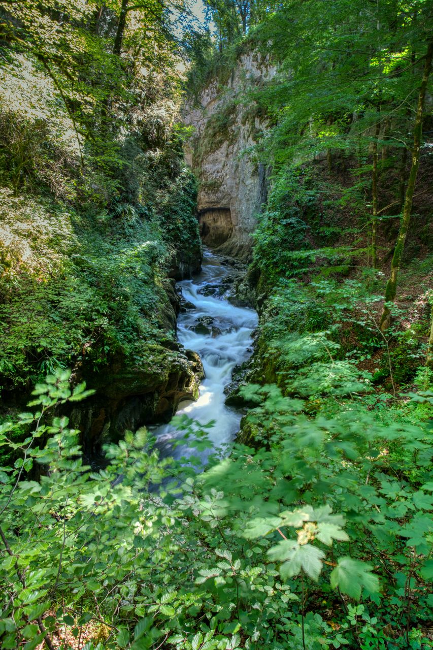 Paysage Cascade Cascade de la Billaude Cascade3.jpeg